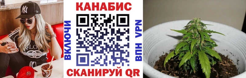 Хочу наркоту Далматово Галлюциногенные грибы  blacksprut вход  А ПВП  Меф мяу мяу 