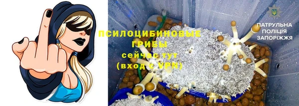 mdpv Алексин